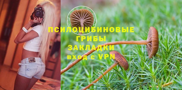 МДПВ Михайлов