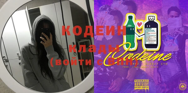 прущие грибы Абаза