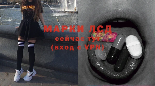 прущие грибы Абаза