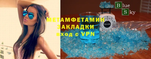 прущие грибы Абаза