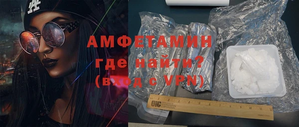 прущие грибы Абаза